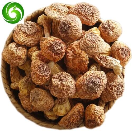 Dried Matsutake, Farmhouse Matsutake, Songrong