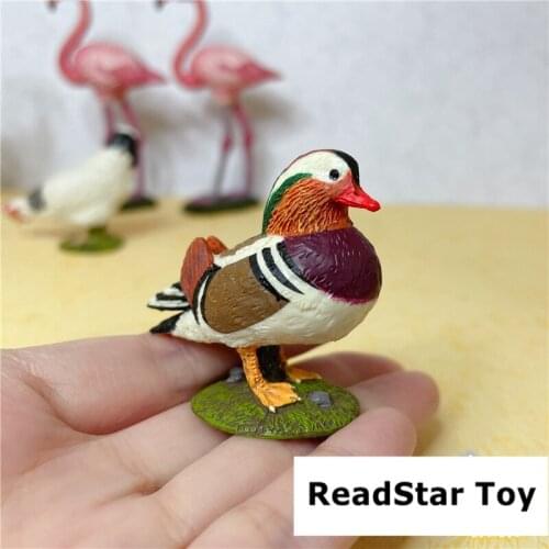 Solid pvc figure Simulation Toy Animal Zoo World Wildlife Ferghana Maxima model 9pcs/set