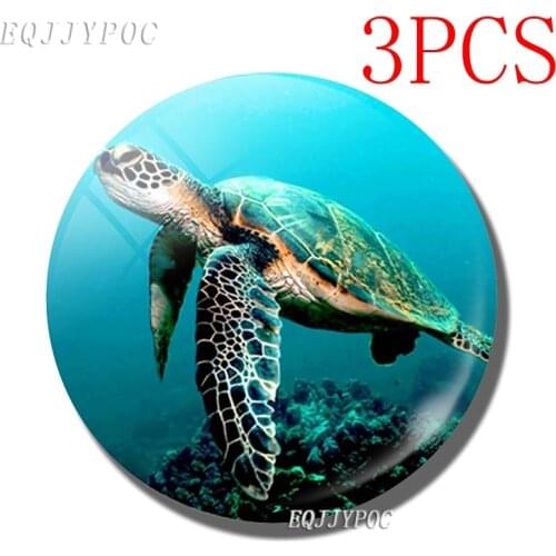 3PCS Sea Turtle Fridge Magnets Lovely Marine Life Home Decor 30MM Glass Message Note Holder Magnetic Refrigerator Stickers