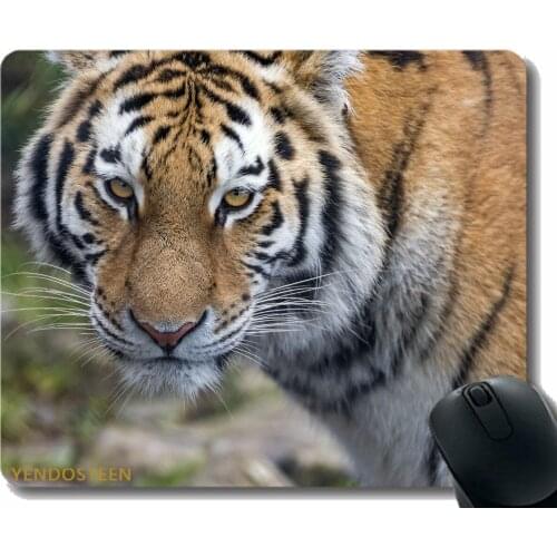 Mouse Pad Personalized,Tiger Predator Big Cat 172994 Mouse Pads