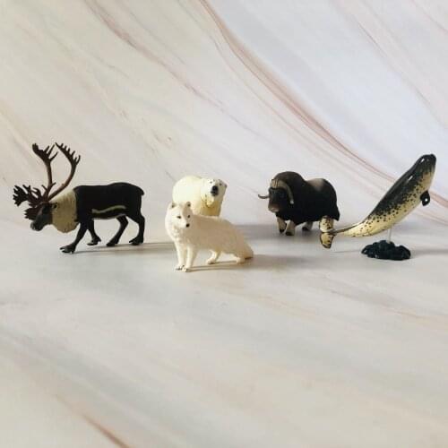 Pvc figure model toy Arctic circle reindeer polar bear model animal 5pcs/set