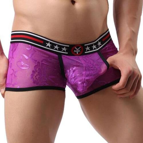 Sexy Men See Through Lace Mesh Underwear Boxer Transparent Erotic Lingerie Underwear Hollow Openable Panties Gay Wear