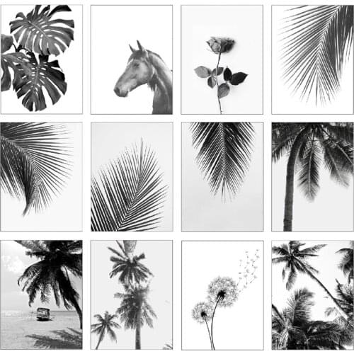 Black And White Landscape Beach Palm Trees Decoration Nordica Home Garden Poster Bedroom Decoration Pictures Canvas Painting