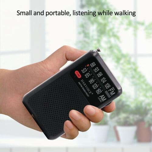 DARVOICE Portable Audio Equipment