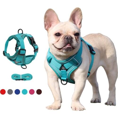 Dog Cat Harness Leash Reflective Mesh Set Adjustable Pet Puppy Kitten Walking Harnesses Vest For Small Medium Dogs Cats Supplies