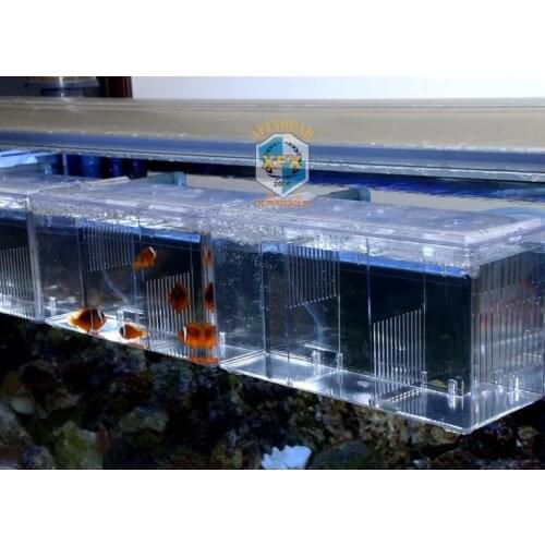 Pneumatic Air Drived Water Flowing Separation Breeding House Aquarium Small Fish protection incubation isolation Betta fish box