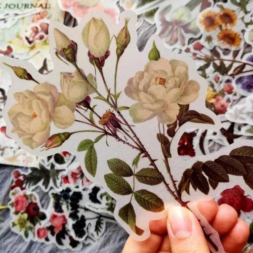 40 Pcs Vintage Flowers Plants Illustration Transparent Sulfur Stickers Diy Ablum Diary Scrapbooking Material Journal Stationery