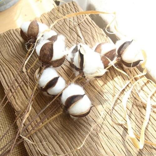 6pcs Natural cotton branch DIY home decoration artificial flower wedding scene layout photography props Christmas decoration