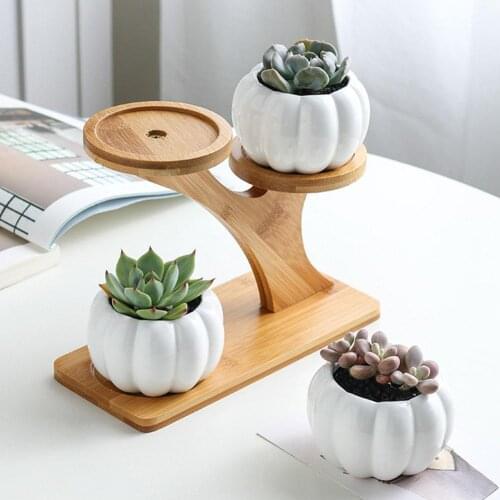Pumpkin Shape Ceramic Succulent Plant Flower Pot Planter Holder Bamboo Shelf Add a modern ceramic pot set to your home for