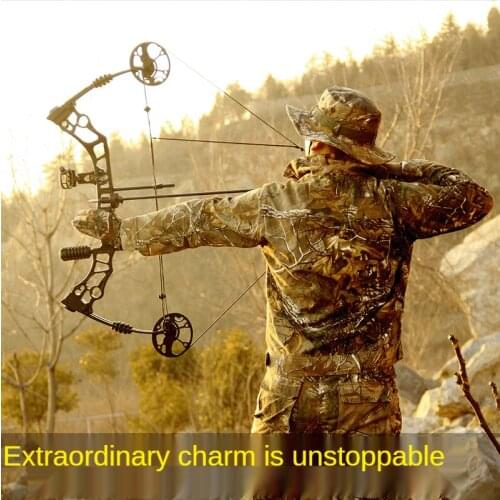 Portable Bow And Arrow Hunting Suit Set Outdoor Compound Pulley Bow 35-60lbs Archery Fish Shooting Equipment