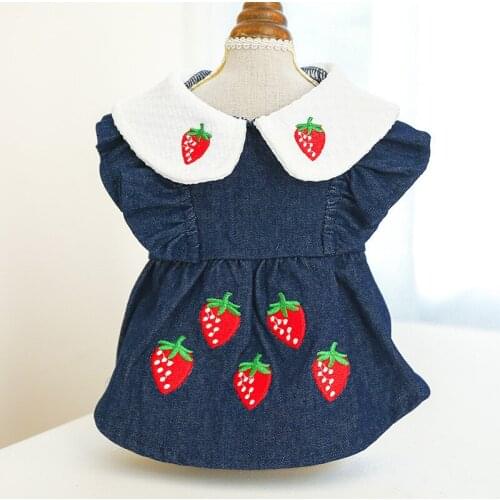Dog Clothes Pet Clothes Autumn and Winter New Products Embroidered Lapel Dog Teddy Cat Costume Strawberry Denim Skirt
