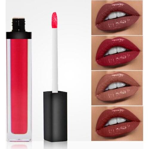 Custom Private Label Vegan Moist Nude Lipgloss Long Lasting Waterproof High Pigmented Makeup Lip Cream