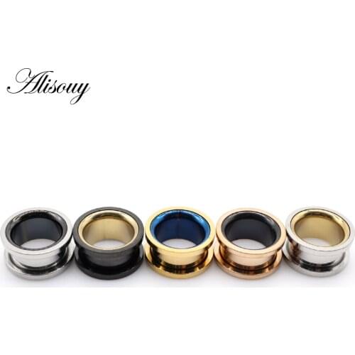 Alisouy 2PCS Hot Product Stainless Steel Single Design Ear Tunnels Plugs Body Piercing Jewelry Screw Ear Expanders Gauges