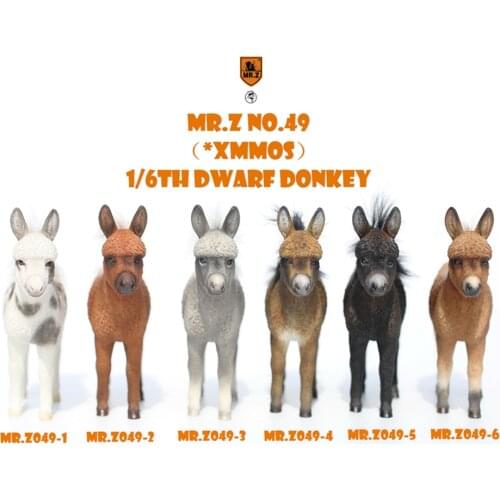 Mr.Z Studio 1:6 Dwarf Donkey Pet Figure Equidae Animal Healing Figure Animal Model Toy Collector Desktop Decoration Adult Gift