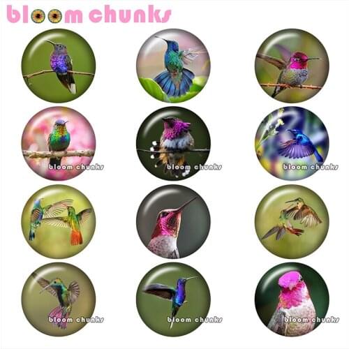 Birds Round photo glass cabochon demo flat back Making findings 12mm/18mm/20mm/25mm A9211