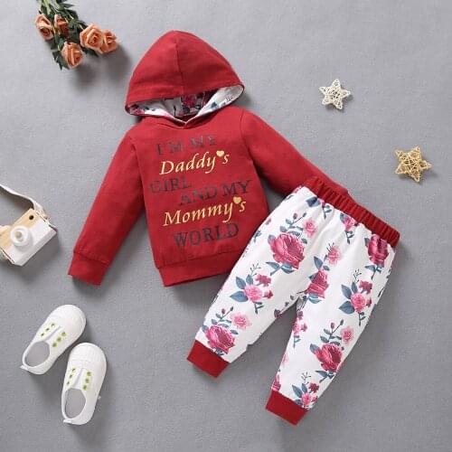 Fall Winter Baby Toddler Girls 2PCS Clothes Lounge Set Long Sleeve Hooded Sweater Long Floral Pants Outfits Set 0 12 18 24 Month