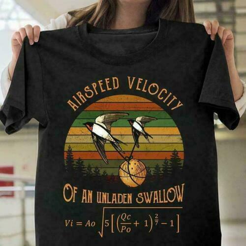 Airspeed Velocity Of An Unladen Swallow Monty-Python Vintage Black T-Shirt