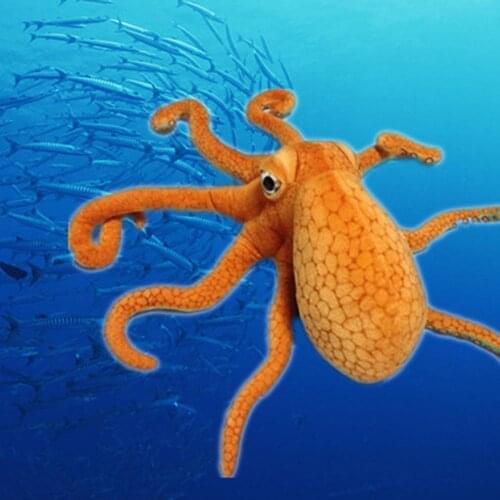 1 Pcs Simulation Octopus Octopus Doll Plush Toy Pillow Seabed Animal Squid Doll Creative Octopus Gift