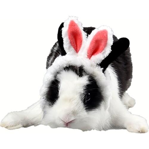 New Design Dogs Cats Autumn Winter Rabbit Caps Supplies Doggy Warm Hats Products Puppy Cosplay Hat Pet Dog Cat Accessories