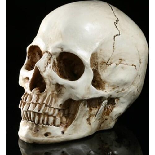 1: 1 Resin Skull Statues Sculptures Halloween Home Decor Accessories Office Craft Skull Model Life Replica Medical High Quality