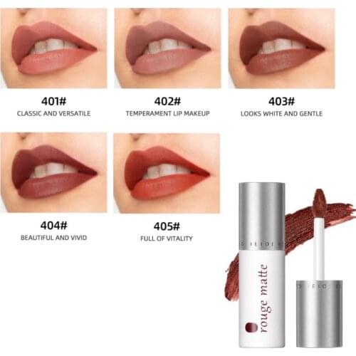 5 Colours Velvet Matte Lip Gloss Long-Lasting Moisturizing Nourishing Non-stick Lip Gloss Makeup Cosmetics Maquillage FemmeTSLM1