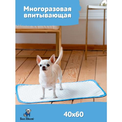 Босс Хвост Home And Garden Products