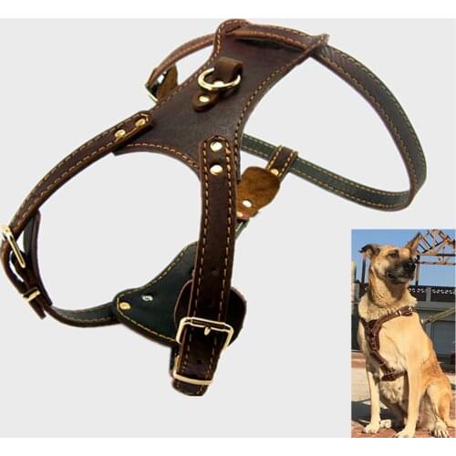 New Brown Genuine Leather Dog Harness and Leash Set Front Leading Dogs Pet Harness No Pull For Small Medium Dogs Pug Chihuahua