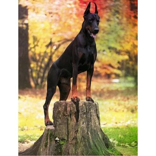 Full Square Round DIY 5D Diamond Painting "Doberman dog" Needlework Diamond Embroidery Sale pictures of Rhinestones Decor FG2121