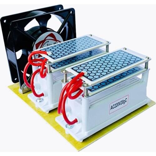 220V/110V 20g 10G powerful Ozonizer Ceramic Ozone Generator Ozone ozonator Double Integrated Ceramic Plate Ozonizer Air Purifier