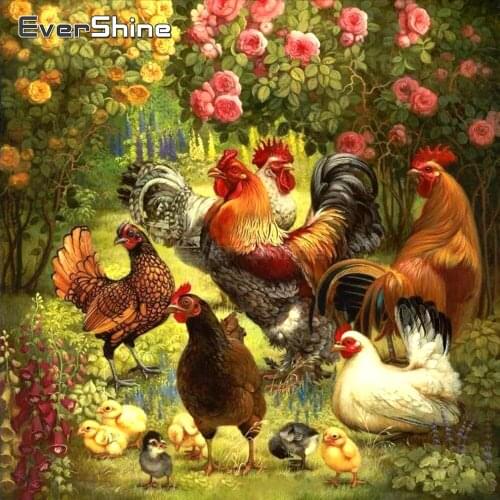 EverShine Diamond Mosaic Full Display Animals New Diamond Painting 2019 Fowl Picture Of Rhinestones Diamond Mosaic Home Decor