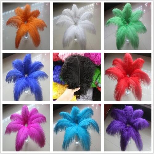 Multicolor Wholesale 100pcs Natural Ostrich Feather 25-30cm/10-12 inch Wedding Party Christmas Home Craft Accessories Decoration