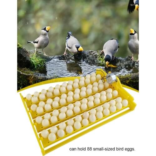88 Bird Egg Tray Four Leaf Flower Automatic Egg Tray Incubator Automatic Egg Turner Bird Eggs Holder Accessory For Incubator
