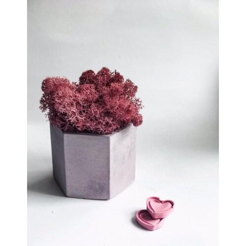 Hexagon Flowerpot Concrete Silicone Mold For Succulent Plants Round Pen Container Plaster Gypsum Mould Cement Clay Resin Molds