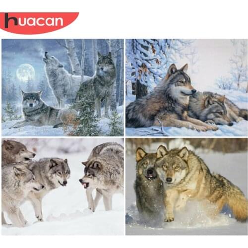 HUACAN Painting By Number Wolf Animal Drawing On Canvas Picture By Numbers Handpainted Winter Kits Home Decor