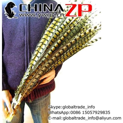 CHINAZP Factory 50pcs/lot 60-70cm(24-28inch) Length Top Quality Dyed Yellow Lady Amherst Pheasant Tail Feathers