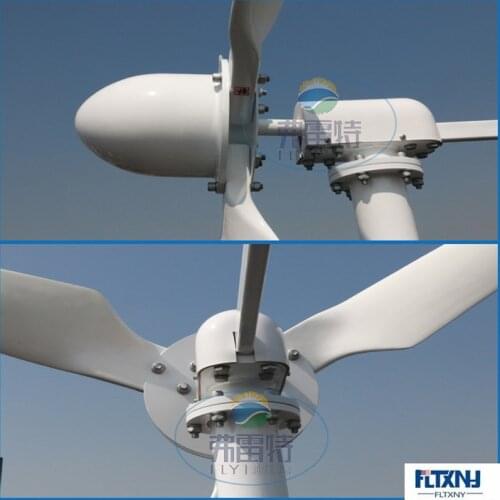 FLTXNY 1kw Horizontal Wind Turbine Generator 1000W with MPPT contrpller for home use