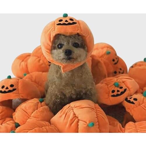 Dog Cosplay Costume Decorative Hat Pet Accessoires 2021 Cute Pet Hat Halloween Pumpkin Pet Dog Hat Dress Up Headdress Small Cap