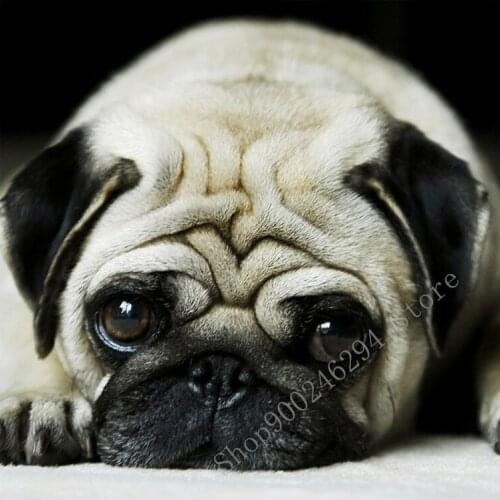 Full Square Round Diamond 5D DIY Diamond Painting Lovely Pug Dog Diamond Embroidery Cross Stitch Rhinestone Mosaic Decor FF2665