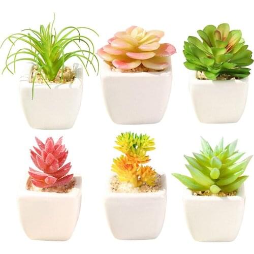 Fashion Cactus Succulent Bonsai Fake Potted for desk Decor Plants Artificial Succulents with Pot Home Decoration Accessories
