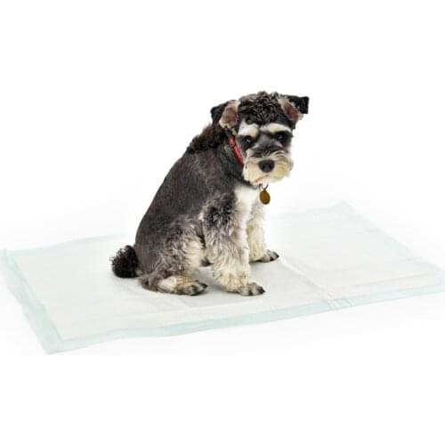 PAWZ Road Dog Accessories