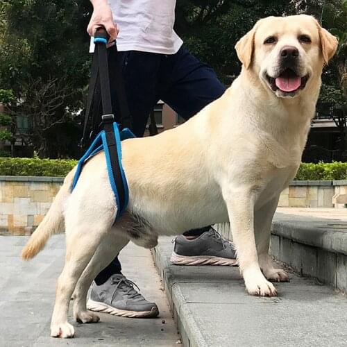 Dog Lift Harness for Back Legs Pet Support Sling Help Weak Legs Stand Up Pet Old Dogs Leash Aid Assist Tool S-XL