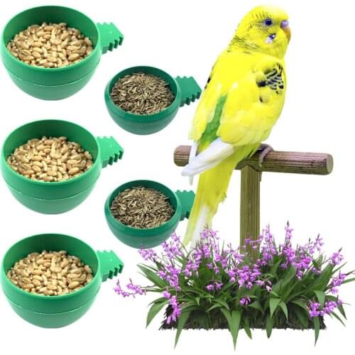 New Birds Feeder Hummingbird Feeder Rigging Water Drinker Pet Bird Accessories Supplies Bird Feeder Outdoor Green Bowl For Macaw