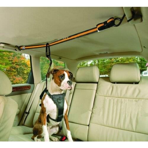 Pet traction rope dog supplies dog harness dogs pets accessories dog