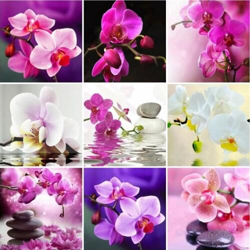 AZQSD Full Square/round Drill 5D Diamond Painting Orchid Stone Cross Stitch Diamond Embroidery Flowers Mosaic Decor Crafts