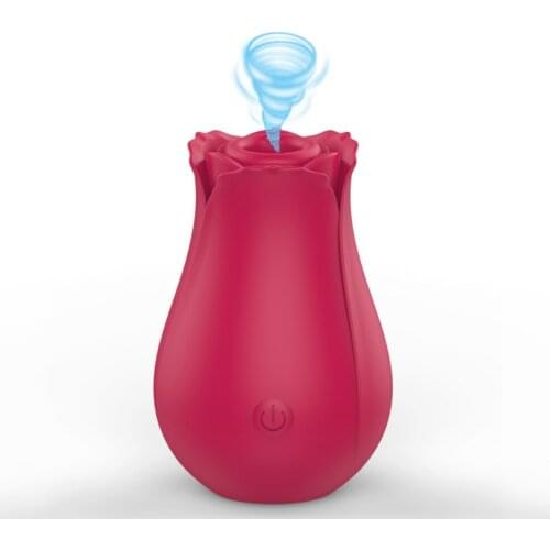 New Rose Toy Vibrator Clit Nipple Sucker, 10 Speed Oral Sex Clitoris Stimulator Sugador Sucking Fidget Toys Vibrators for Women
