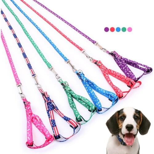 Polyester Printed Dog Leash Collars Harnesses Leads Breast-band for Dogs Training Collar Straps Accessories Large Suit Pet Soft