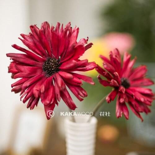 Northern European-Style Dried Flower Handmade Fruit Shell Flower Red Flower Dried Flower Window Accessories Plant Home