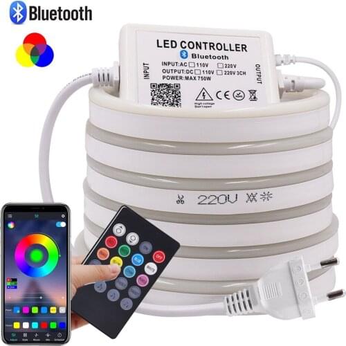 Bluetooth Music Control RGB Neon Strip 110V 220V EU US UK AU Waterproof Flexible Ribbon Neon Lamp SMD 5050 LED Strip