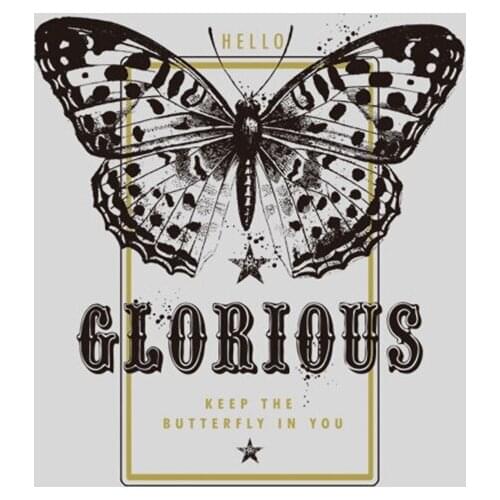 Letter Butterfly Clothing Badges Patches Diy Accessory Iron On Clothes Fashion Stickers Heat Transfer Applique On Clothes