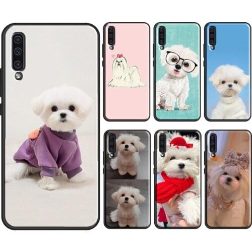 Maltese Dog Puppy Cute For Samsung Galaxy A50 A70 A40 A10 A51 A71 A31 A41 M51 M31 A12 A52 A20e A21S Phone Cover